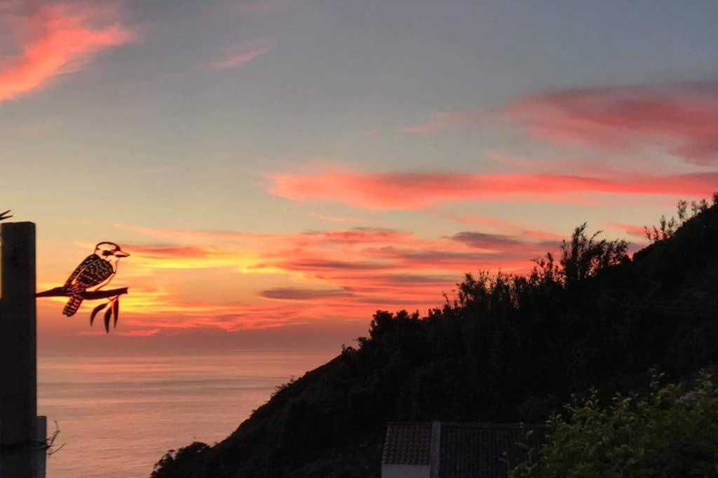 Vila Sunset Nest Ponta Delgada Exteriér fotografie